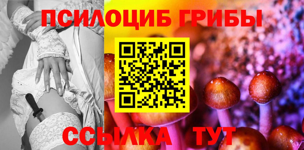 Истра  Псилоцибиновые грибы GOLDEN TEACHER  Галлюциногенные грибы прущие грибы  Вход с VPN 