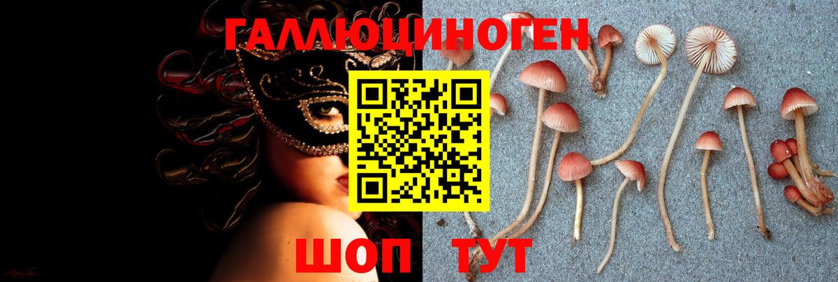 Галлюциногенные грибы прущие грибы Истра